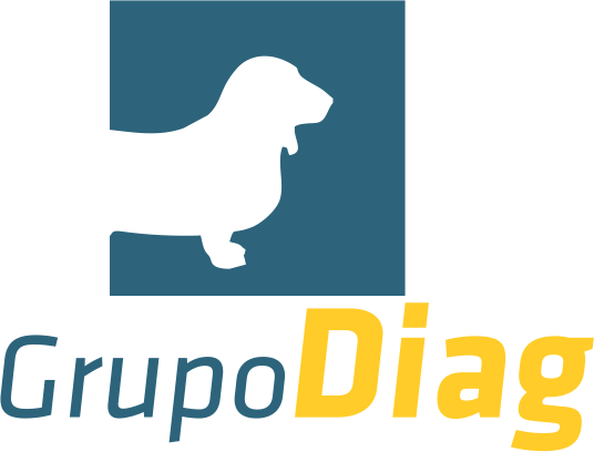 Grupo Diag